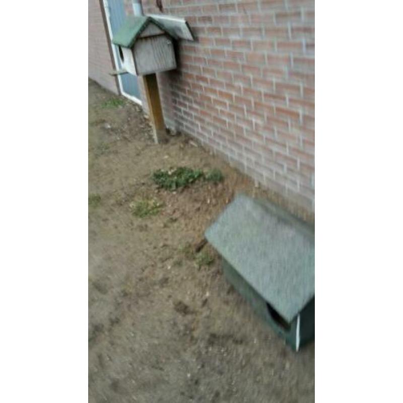 Watervogels broedhokjes eenden gansen