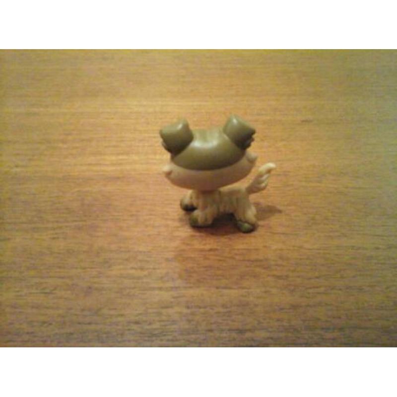 Littlest pet shop collie bruin petshop