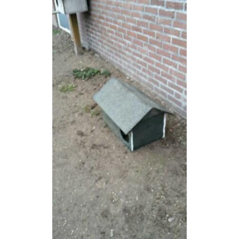 Watervogels broedhokjes eenden gansen