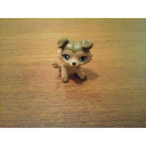 Littlest pet shop collie bruin petshop