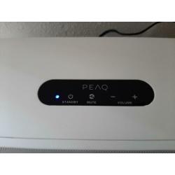 Peaq MuNet PMN 300w bluetooth speaker