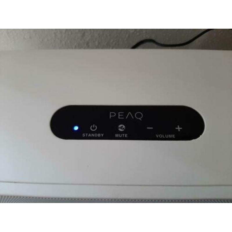 Peaq MuNet PMN 300w bluetooth speaker