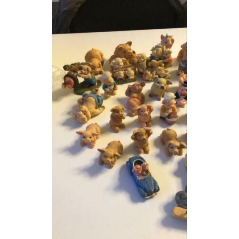 Verzameling beeldjes (varkens)