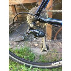 Giant TCR 1