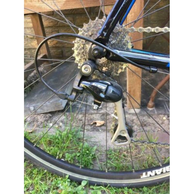 Giant TCR 1