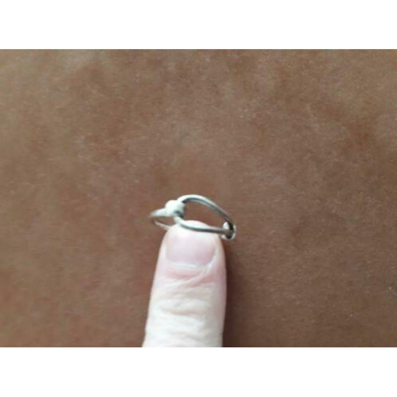 bijzondere zilver ring 925 sterling maat 17 mm