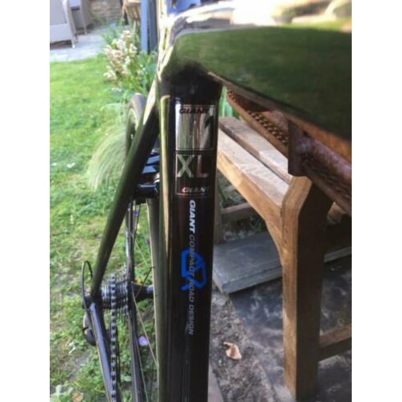 Giant TCR 1