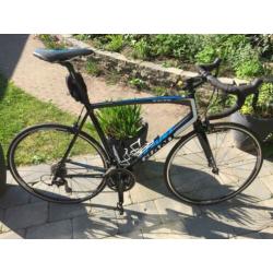 Giant TCR 1