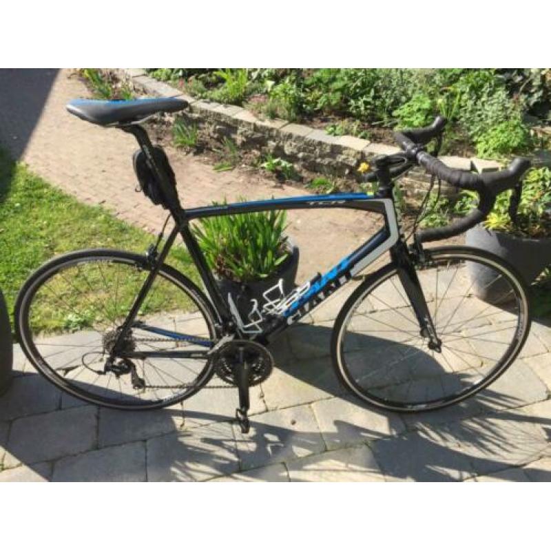 Giant TCR 1