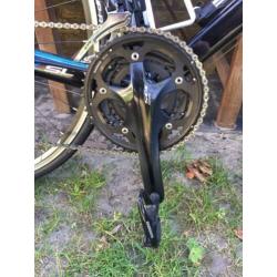 Giant TCR 1