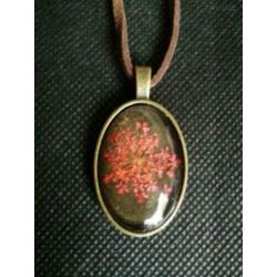 Mooie gedroogde rode bloem in hanger met ketting