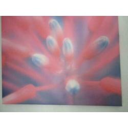 canvas poster 50 x 50 cm