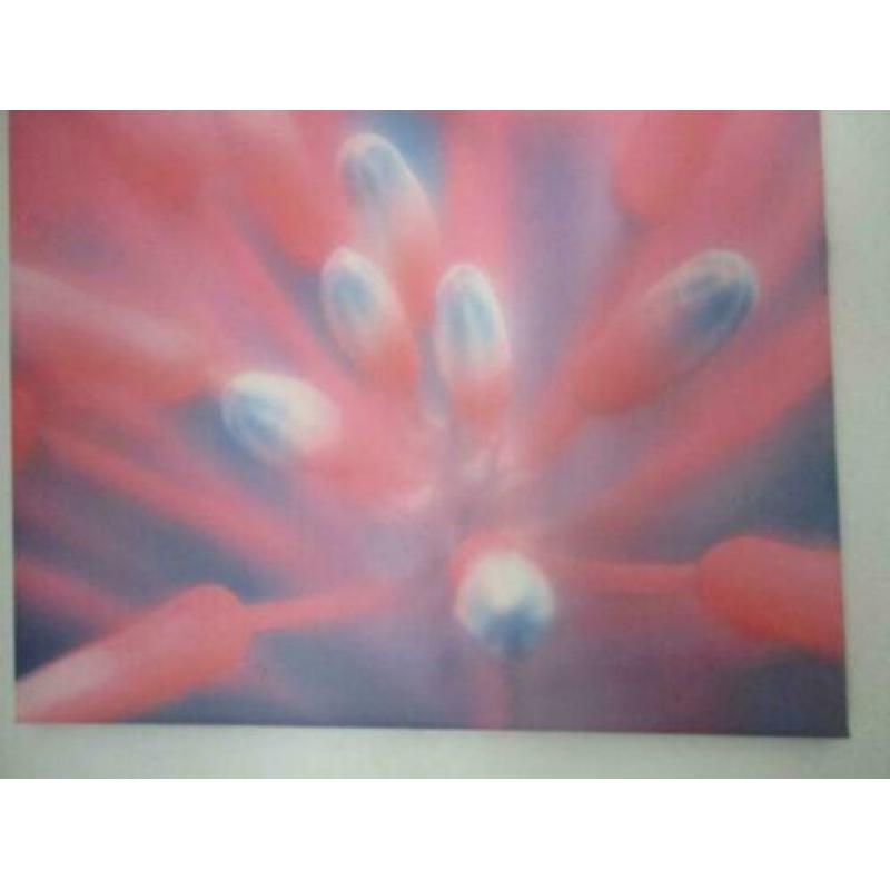 canvas poster 50 x 50 cm