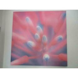 canvas poster 50 x 50 cm