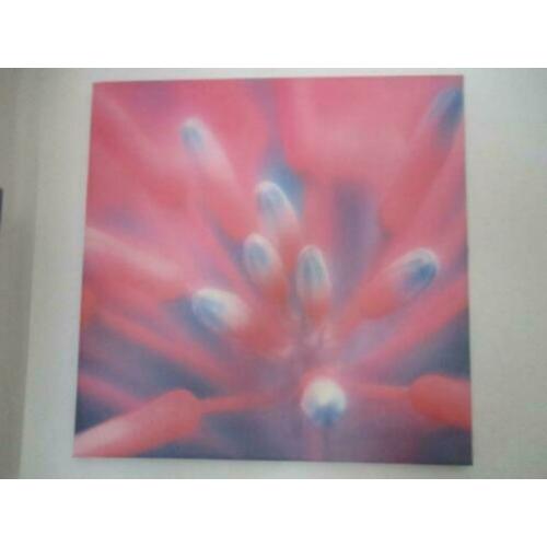canvas poster 50 x 50 cm