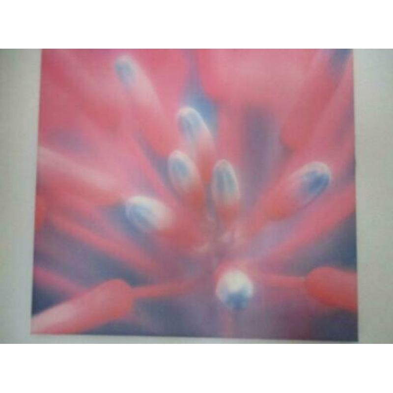 canvas poster 50 x 50 cm