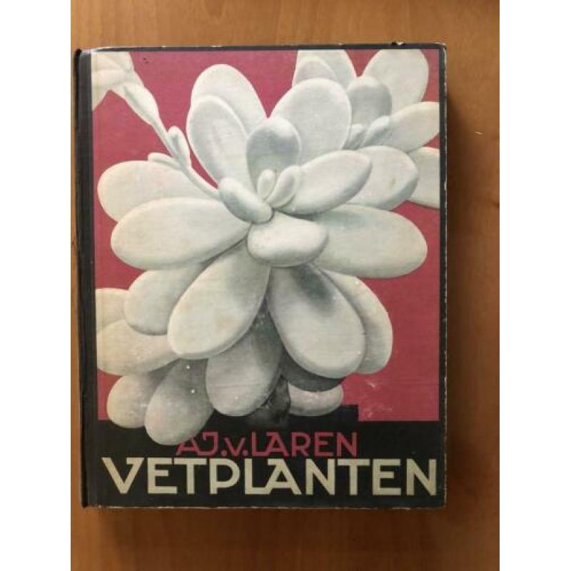 Verkade’s Vetplanten door A.J van Laren