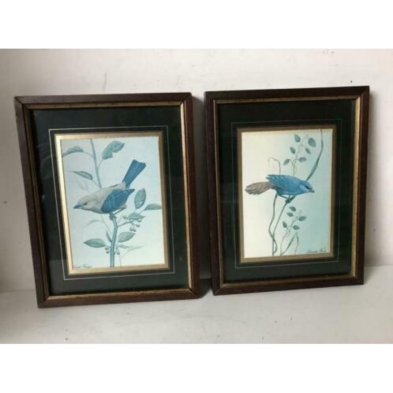 vogel prent schilderijtjes 1 koop 14/18 cm