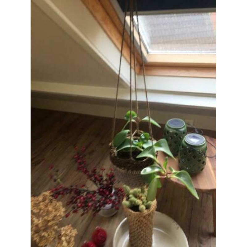 Plantenhanger macramé ophalen