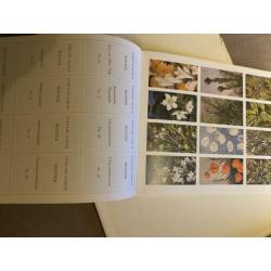 Winter, Herst, Lente, Zomer door Jac P Thijsse