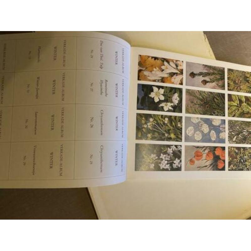 Winter, Herst, Lente, Zomer door Jac P Thijsse