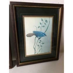 vogel prent schilderijtjes 1 koop 14/18 cm