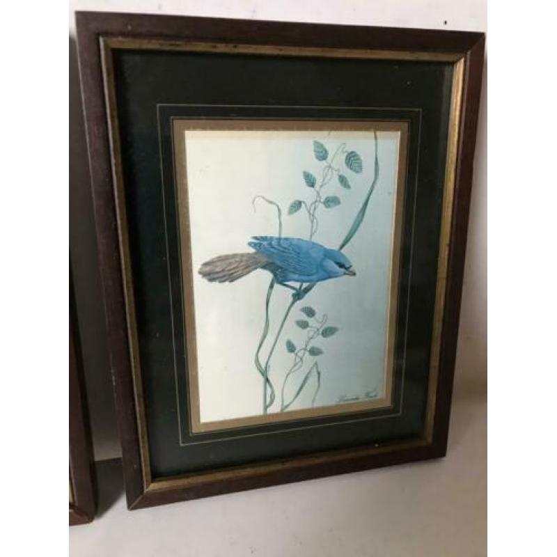 vogel prent schilderijtjes 1 koop 14/18 cm