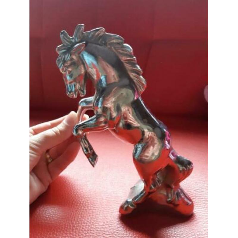 steigerend paard hood embleem
