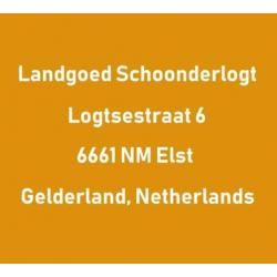 Grote XXL spiegel/oude spiegel/spiegel/paskamer/passpiegel
