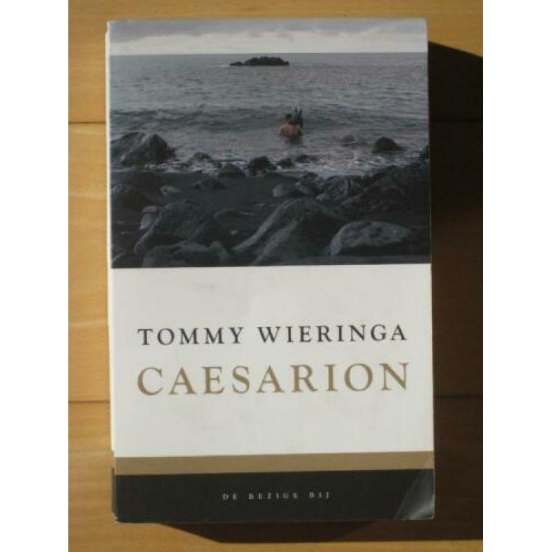 Tommy Wieringa - Dit zijn de namen
