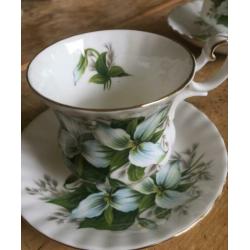 Royal Albert Trillium set van twee