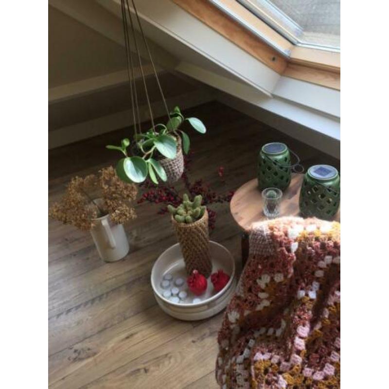 Plantenhanger macramé ophalen
