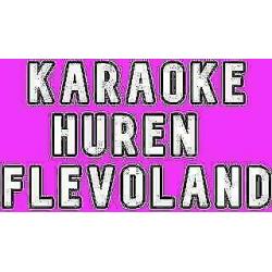 karaoke set huren karaokeset verhuur speaker dvd microfoon