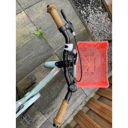 Spirit Daisy meisjesfiets 20 inch (groen)