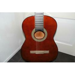 akoestiche gitaar