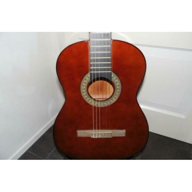 akoestiche gitaar