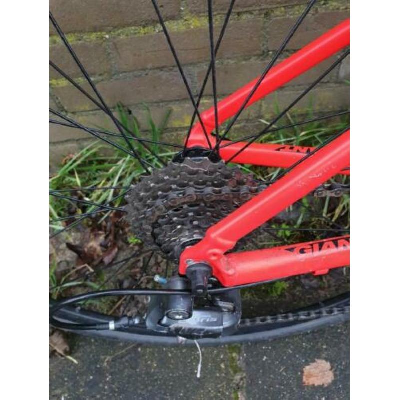 giant 26 inch
