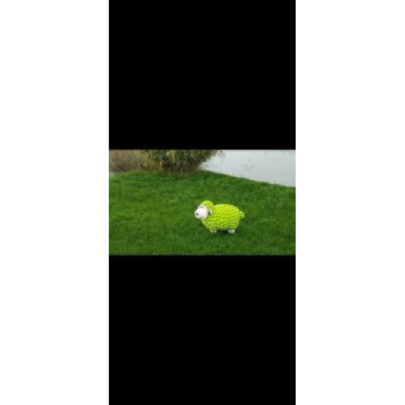 Schapen gekleurd ter decoratie ,leuk voor op kinderkamer e.d
