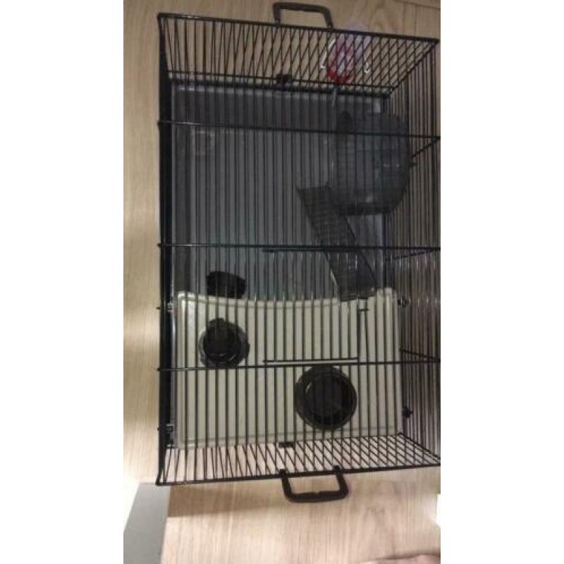 Hamster kooi