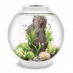 biOrb CLASSIC | 60 LED | THERMO | Wit