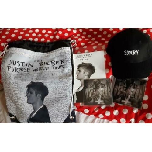 Justin Bieber Purpose Tour Vip Merchandise CD Handtekening