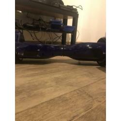 Oxboard te koop