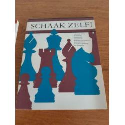 2 boeken om te leren schaken met veel tips en lessen