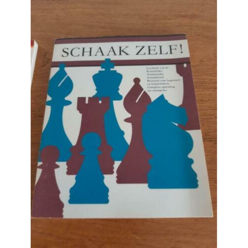2 boeken om te leren schaken met veel tips en lessen