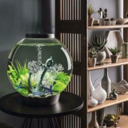biOrb CLASSIC | 60 LED | THERMO | Wit