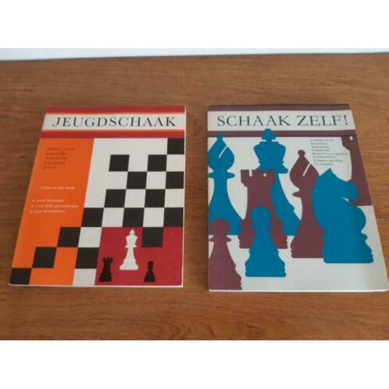 2 boeken om te leren schaken met veel tips en lessen