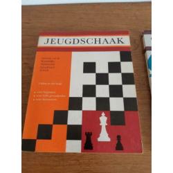2 boeken om te leren schaken met veel tips en lessen