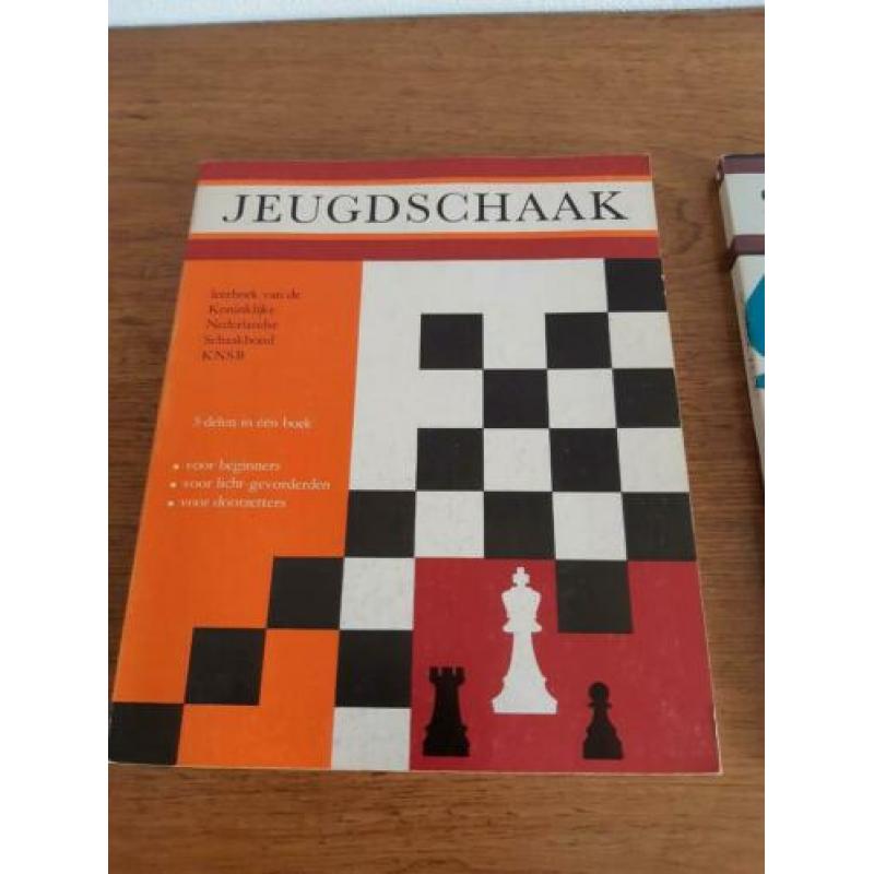 2 boeken om te leren schaken met veel tips en lessen
