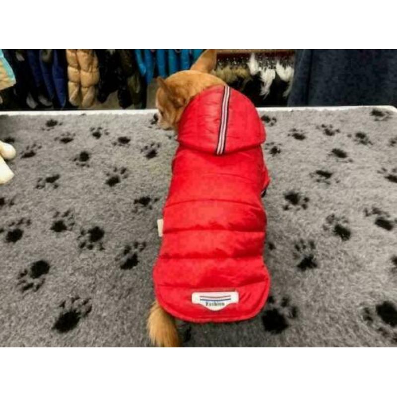 Hondenkleding, chihuahua, rode winterjas met capuchon