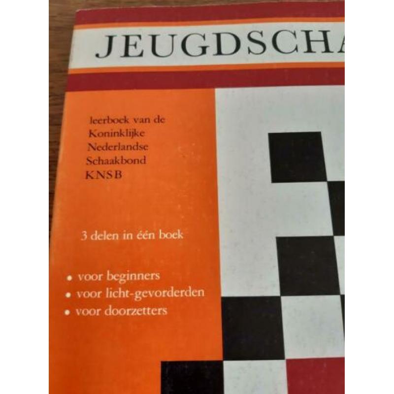 2 boeken om te leren schaken met veel tips en lessen